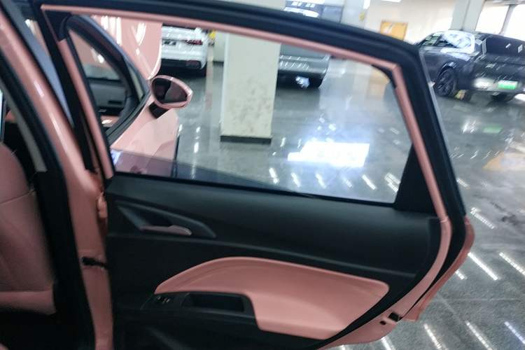 Used NETA V 2022 Chao 400 Lite Pink Custom Edition Interior 6