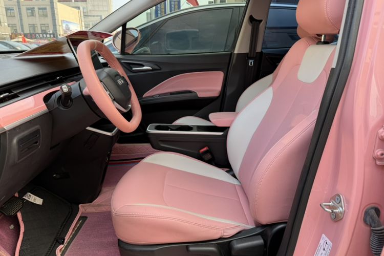 Used NETA V 2022 Chao 400 Lite Pink Custom Edition Interior 6