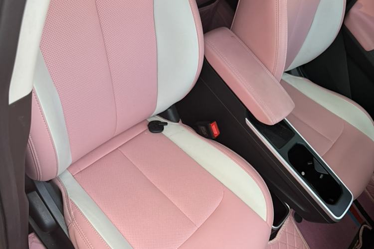 Used NETA V 2022 Chao 400 Lite Pink Custom Edition Interior 7
