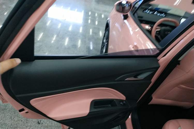 Used NETA V 2022 Chao 400 Lite Pink Custom Edition Interior 8