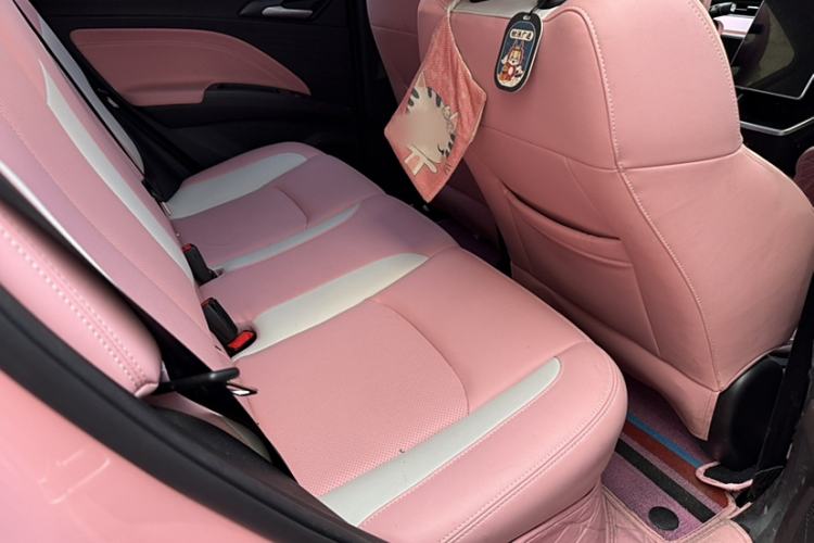 Used NETA V 2022 Chao 400 Lite Pink Custom Edition Interior 8