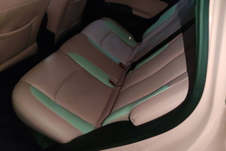 Used NETA V 2022 Chao 400 Lite Pink Custom Edition Left Rear Seat