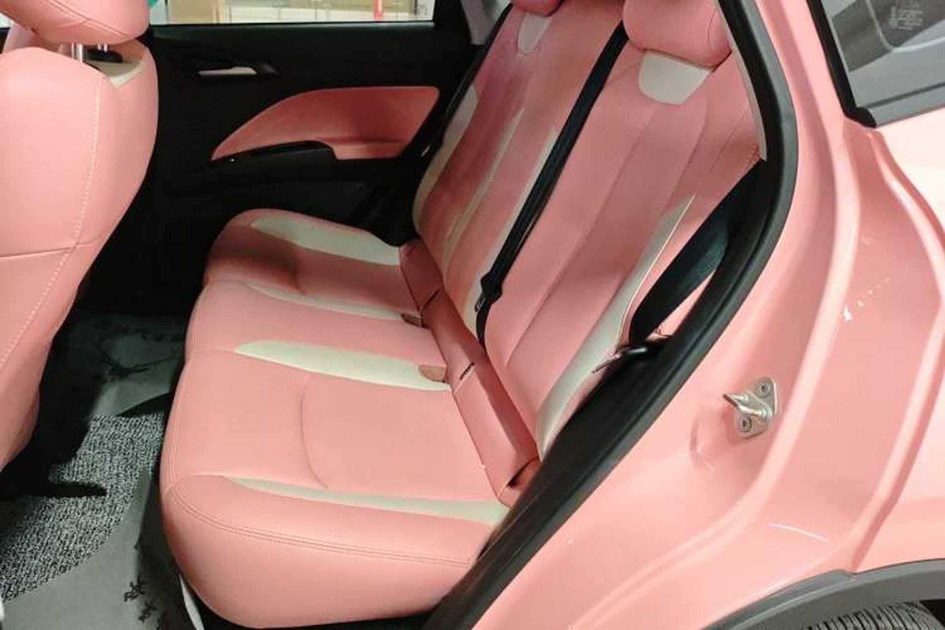 Used NETA V 2022 Chao 400 Lite Pink Custom Edition Left Rear Seat