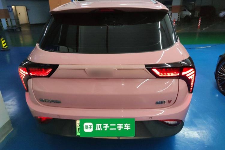 Used NETA V 2022 Chao 400 Lite Pink Custom Edition Rear