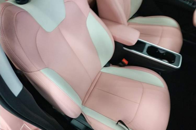 Used NETA V 2022 Chao 400 Lite Pink Custom Edition Right Front Seat