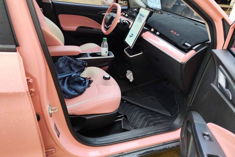Used NETA V 2022 Chao 400 Lite Pink Custom Edition Right Front Seat