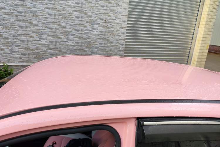 Used NETA V 2022 Chao 400 Lite Pink Custom Edition Roof