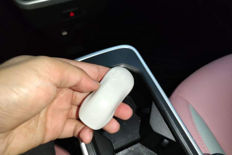 Used NETA V 2022 Chao 400 Lite Pink Custom Edition Vehicle Key