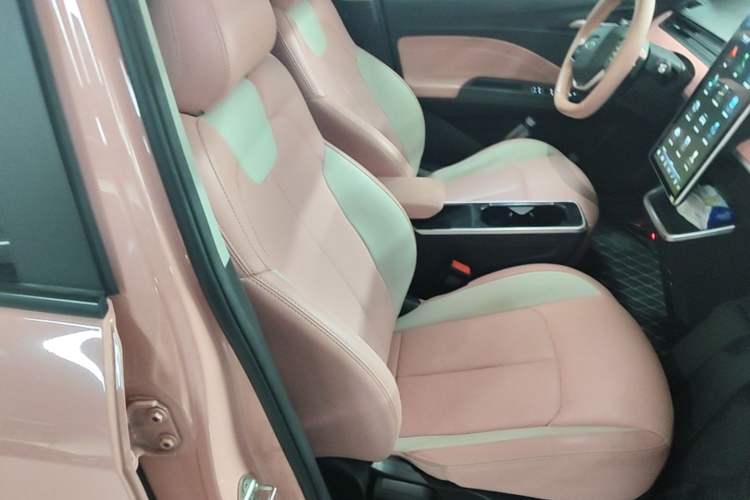 Used NETA V 2022 Chao 400 Lite Pink Custom Edition Right Front Seat