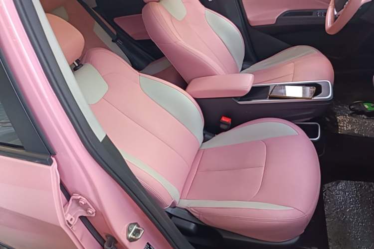 Used NETA V 2022 Chao 400 Lite Pink Custom Edition Right Front Seat