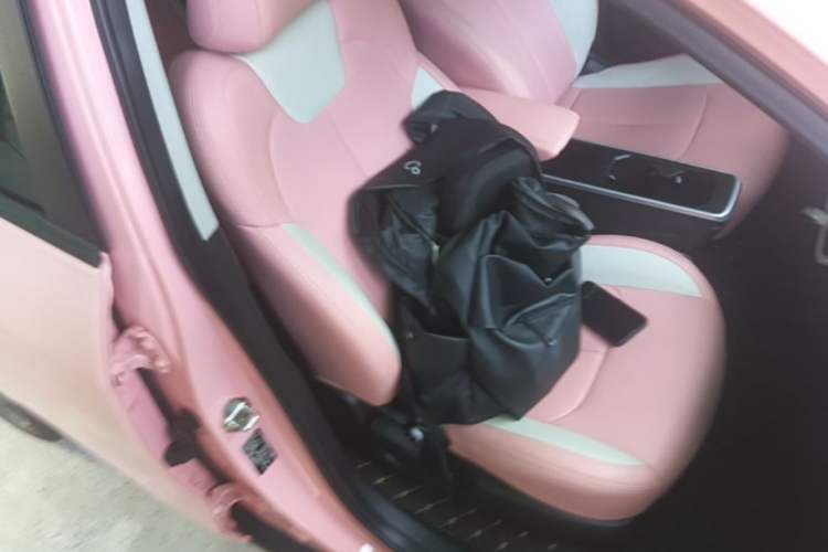 Used NETA V 2022 Chao 400 Lite Pink Custom Edition Right Front Seat