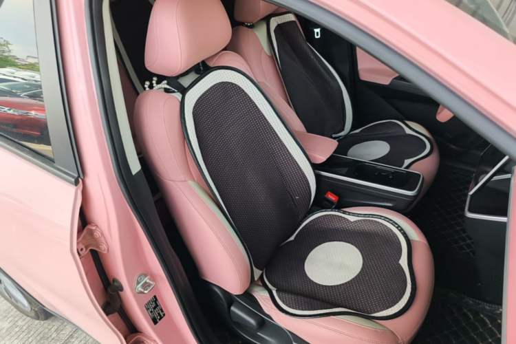 Used NETA V 2022 Chao 400 Lite Pink Custom Edition Right Front Seat