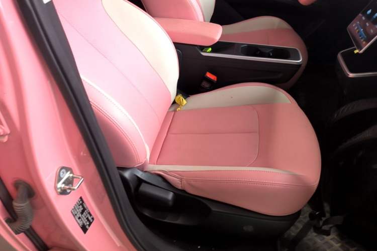 Used NETA V 2022 Chao 400 Lite Pink Custom Edition Right Front Seat