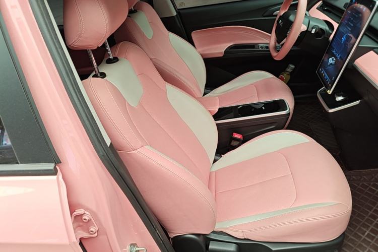 Used NETA V 2022 Chao 400 Lite Pink Custom Edition Right Front Seat