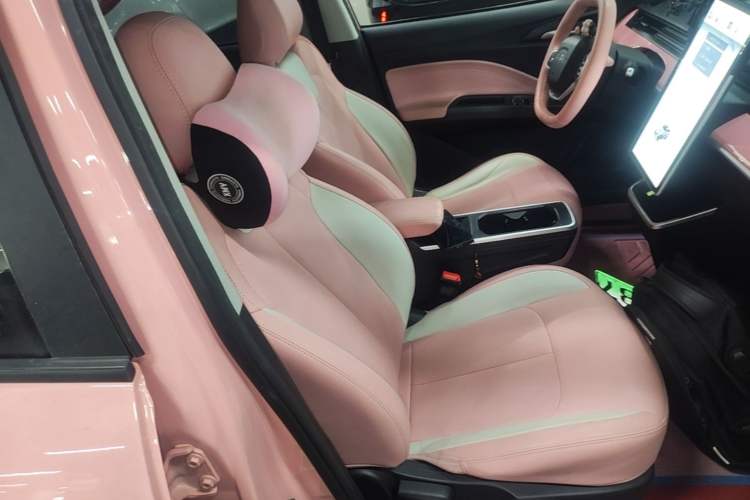 Used NETA V 2022 Chao 400 Lite Pink Custom Edition Right Front Seat