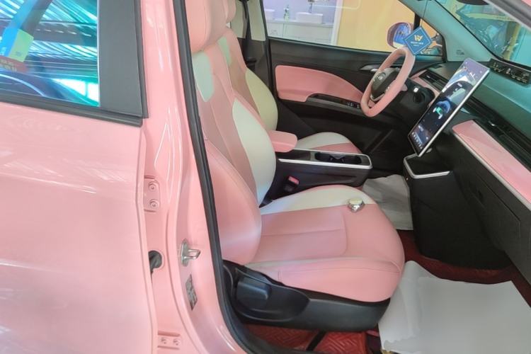 Used NETA V 2022 Chao 400 Lite Pink Custom Edition Right Front Seat