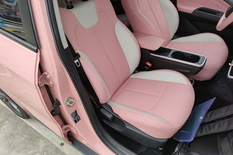 Used NETA V 2022 Chao 400 Lite Pink Custom Edition Right Front Seat