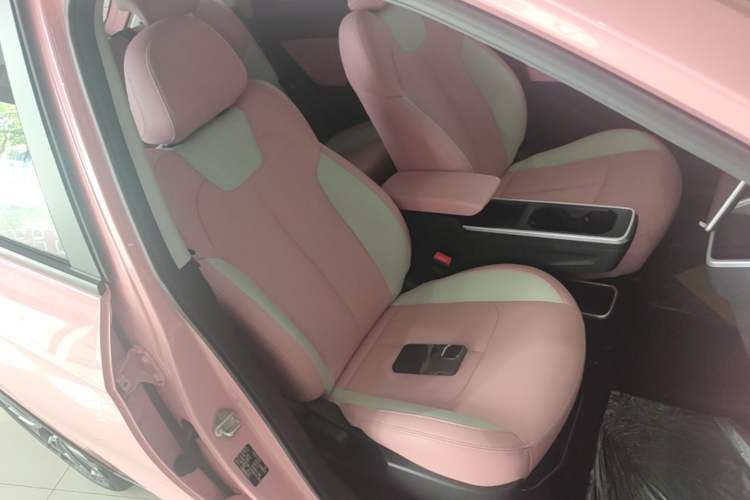 Used NETA V 2022 Chao 400 Lite Pink Custom Edition Right Front Seat