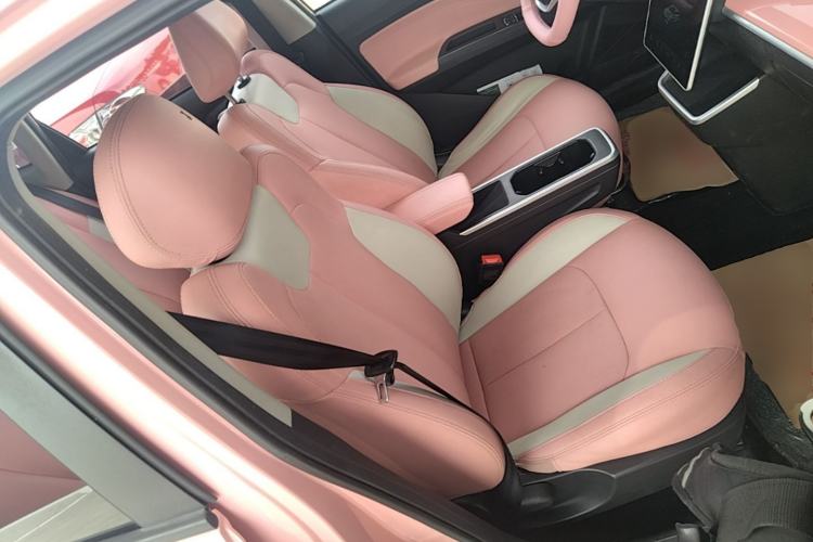 Used NETA V 2022 Chao 400 Lite Pink Custom Edition Right Front Seat