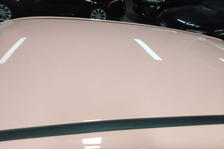 Used NETA V 2022 Chao 400 Lite Pink Custom Edition Roof