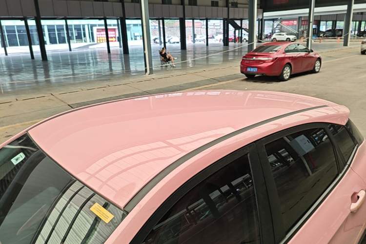 Used NETA V 2022 Chao 400 Lite Pink Custom Edition Roof