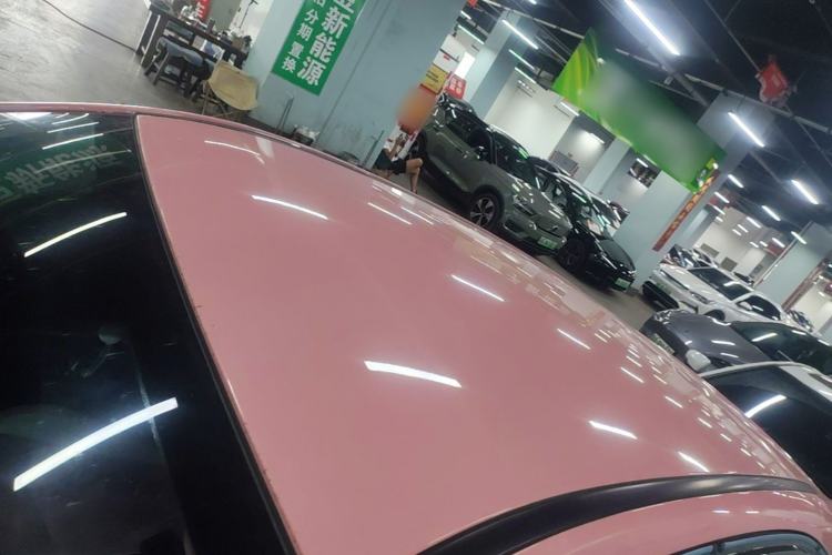 Used NETA V 2022 Chao 400 Lite Pink Custom Edition Roof