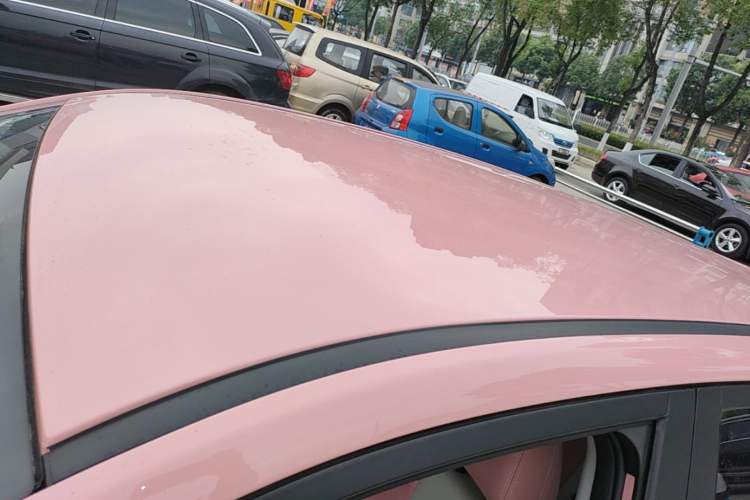 Used NETA V 2022 Chao 400 Lite Pink Custom Edition Roof