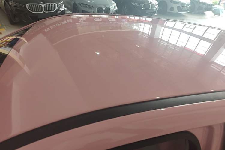 Used NETA V 2022 Chao 400 Lite Pink Custom Edition Roof