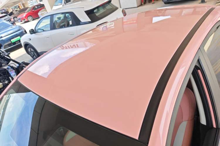 Used NETA V 2022 Chao 400 Lite Pink Custom Edition Roof