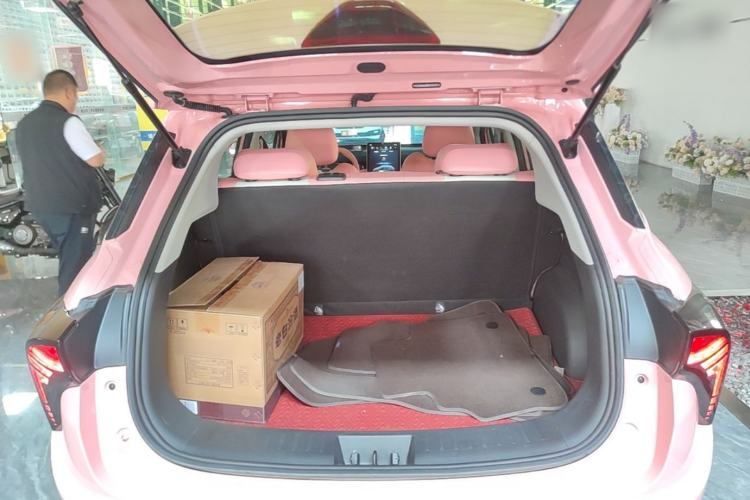 Used NETA V 2022 Chao 400 Lite Pink Custom Edition Trunk