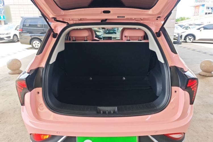 Used NETA V 2022 Chao 400 Lite Pink Custom Edition Trunk