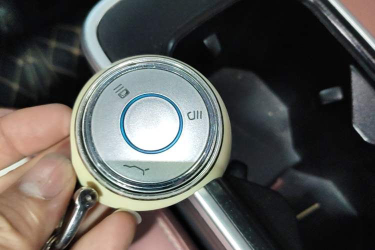 Used NETA V 2022 Chao 400 Lite Pink Custom Edition Vehicle Key