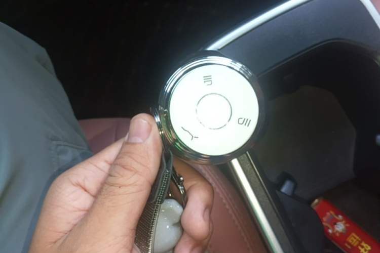Used NETA V 2022 Chao 400 Lite Pink Custom Edition Vehicle Key