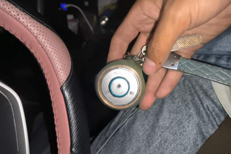 Used NETA V 2022 Chao 400 Lite Pink Custom Edition Vehicle Key