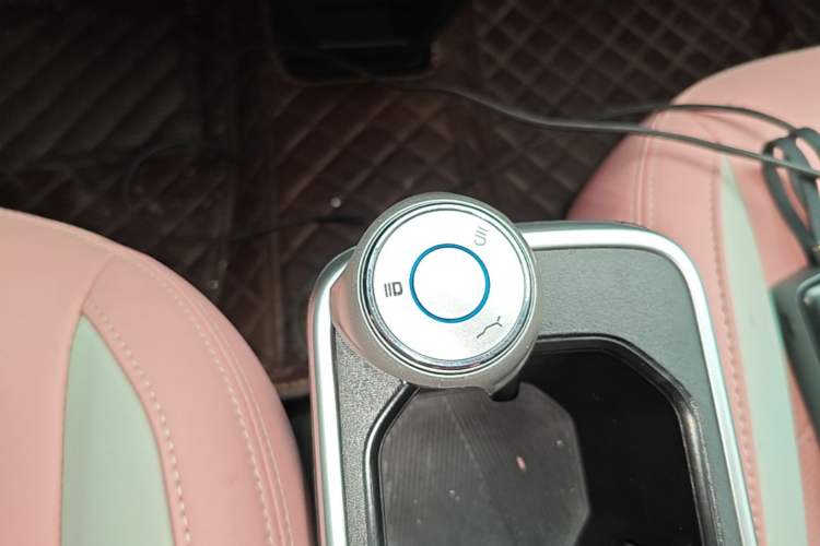 Used NETA V 2022 Chao 400 Lite Pink Custom Edition Vehicle Key