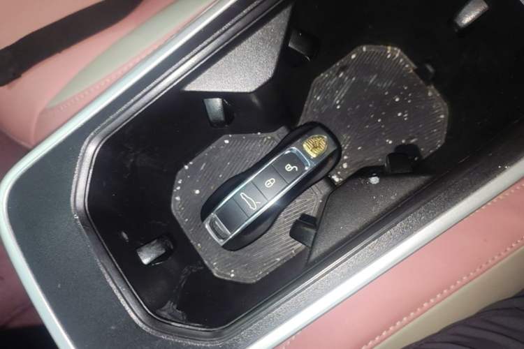 Used NETA V 2022 Chao 400 Lite Pink Custom Edition Vehicle Key