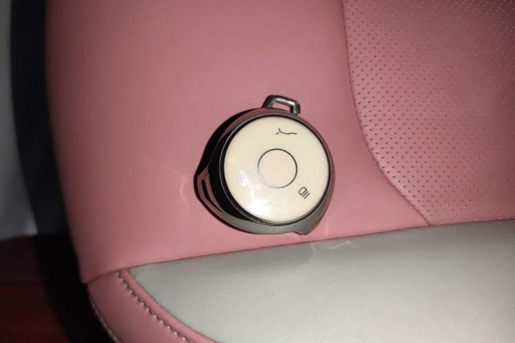 Used NETA V 2022 Chao 400 Lite Pink Custom Edition Vehicle Key