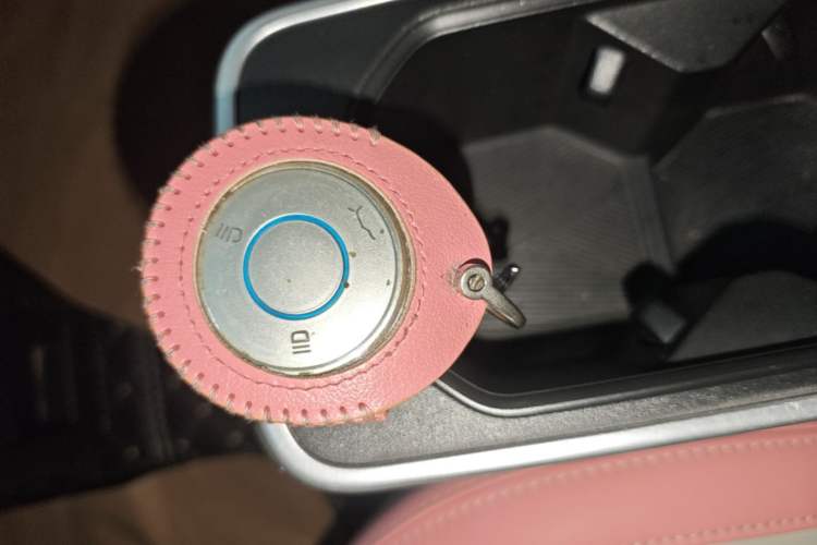 Used NETA V 2022 Chao 400 Lite Pink Custom Edition Vehicle Key