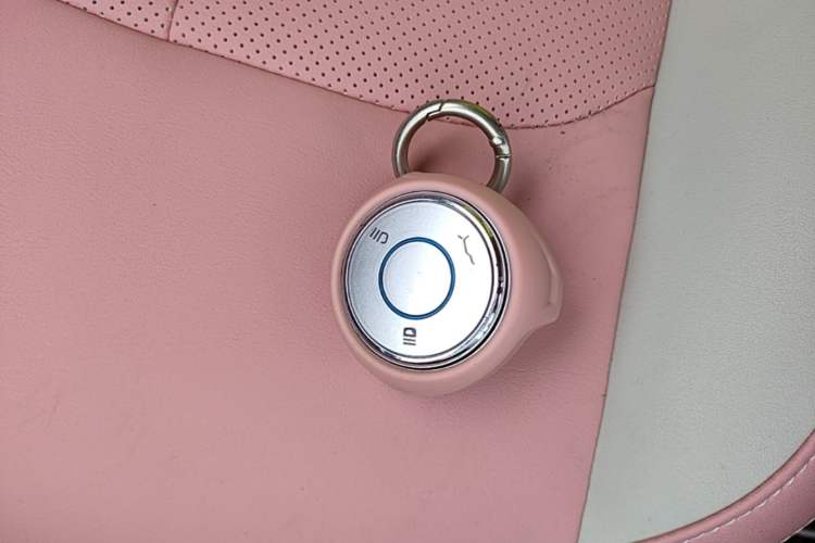Used NETA V 2022 Chao 400 Lite Pink Custom Edition Vehicle Key