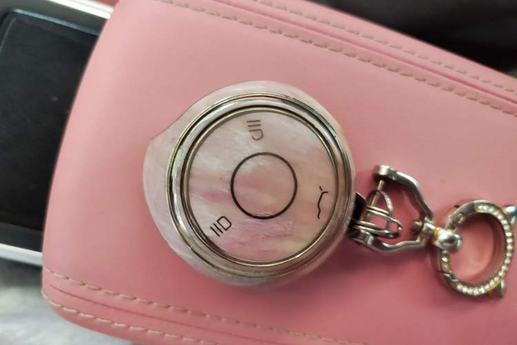 Used NETA V 2022 Chao 400 Lite Pink Custom Edition Vehicle Key