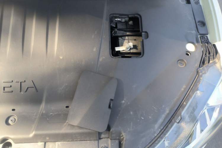 Used NETA V  Engine Bay Left