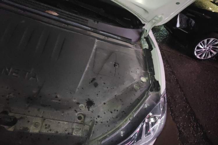 Used NETA V 2022 Chao 400 Engine Bay Left