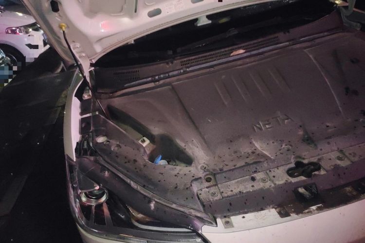 Used NETA V 2022 Chao 400 Engine Bay Right