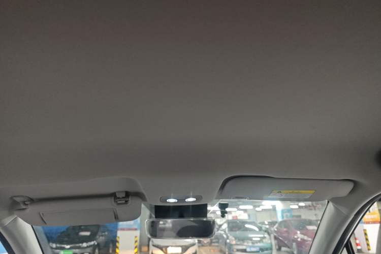 Used NETA V 2022 Chao 300 Industry Custom Edition Headliner