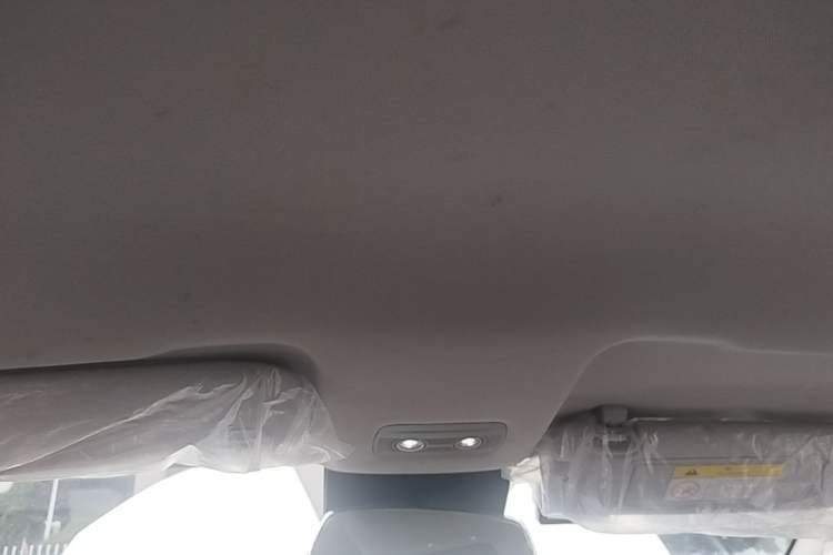 Used NETA V 2022 Pro Long-Range Smart Edition Headliner