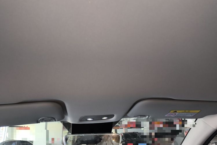 Used NETA V 2022 Chao 300 Lite Lithium Iron Phosphate Headliner