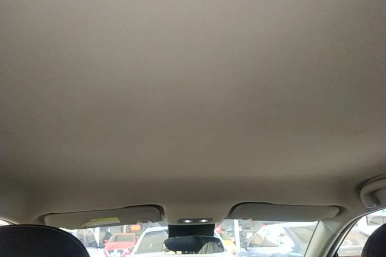 Used NETA V 2022 Chao 300 Lite Lithium Iron Phosphate Headliner