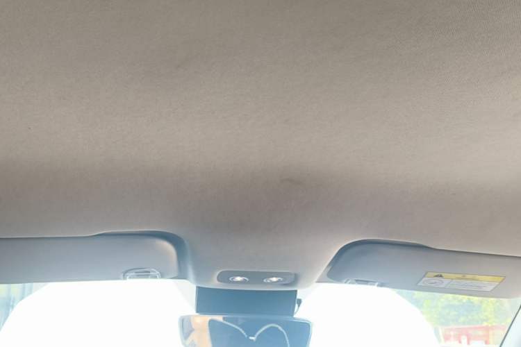 Used NETA V 2022 Chao 300 Industry Custom Edition Headliner