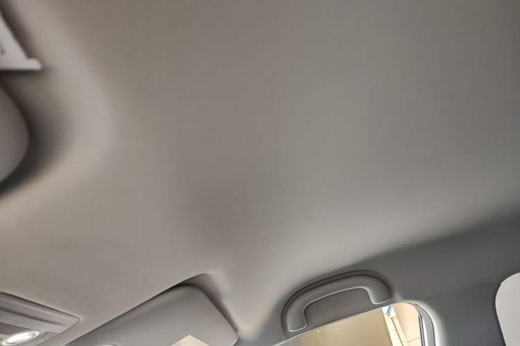 Used NETA V 2022 Chao 300 Lite Lithium Iron Phosphate Headliner