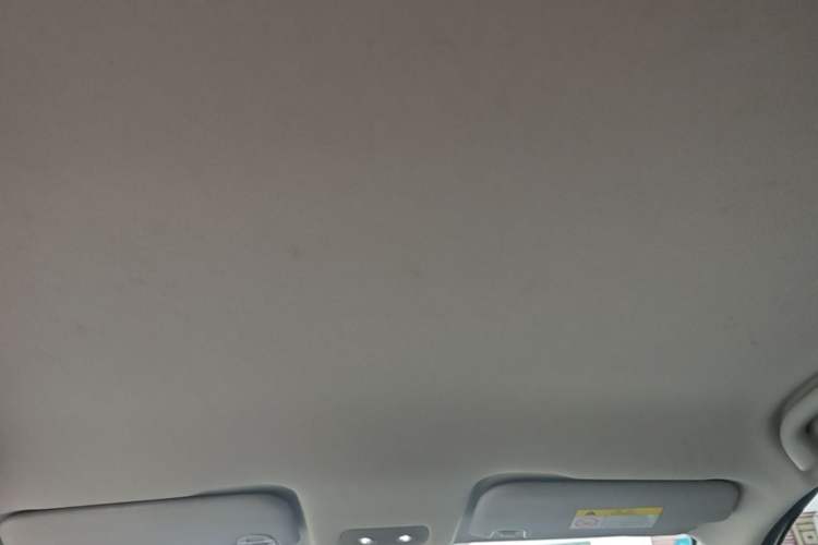 Used NETA V 2022 Pro Long-Range Smart Edition Headliner